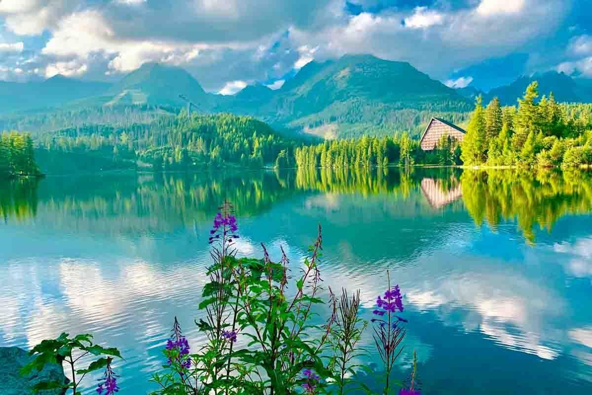 A tranquil lake surrounded by lush green trees and mountains.