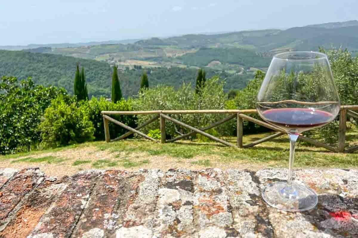 A glass of red wine overlooking a hilly landscape.